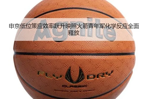 img_1783707856897_815_1_742.jpg